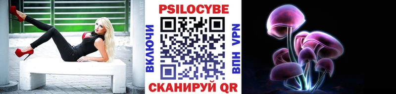 купить наркоту  Городец  Псилоцибиновые грибы ЛСД 