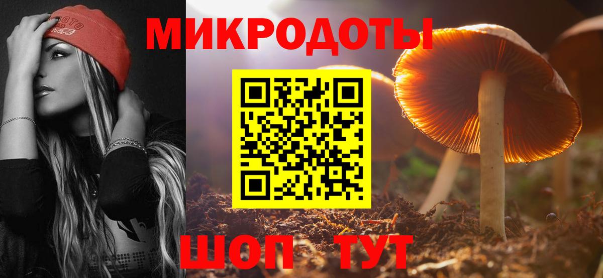 Псилоцибиновые грибы мицелий Городец