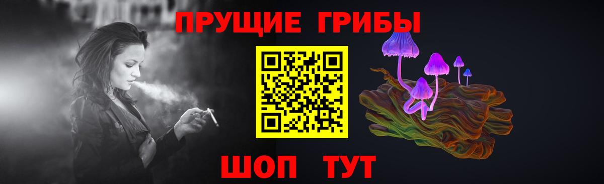 Галлюциногенные грибы ЛСД  Городец  Псилоцибиновые грибы Psilocybine cubensis 